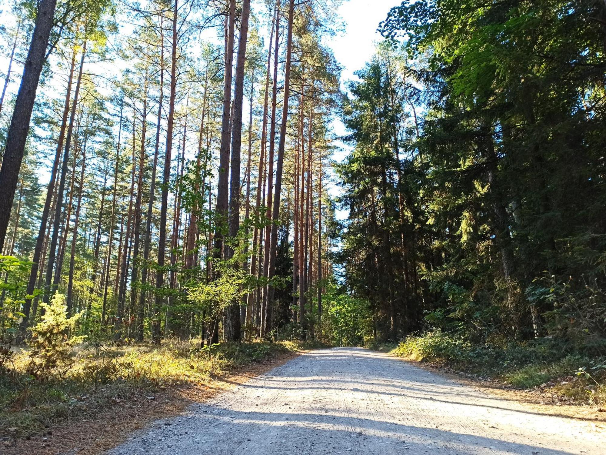 Bed and Breakfast Mazurska Lesniczowka Nowy Zyzdroj Екстер'єр фото